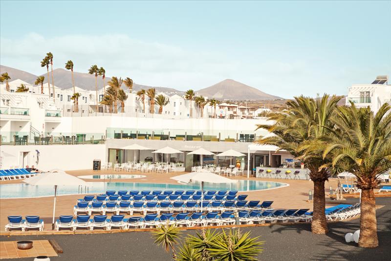 Lanzarote Palm 23